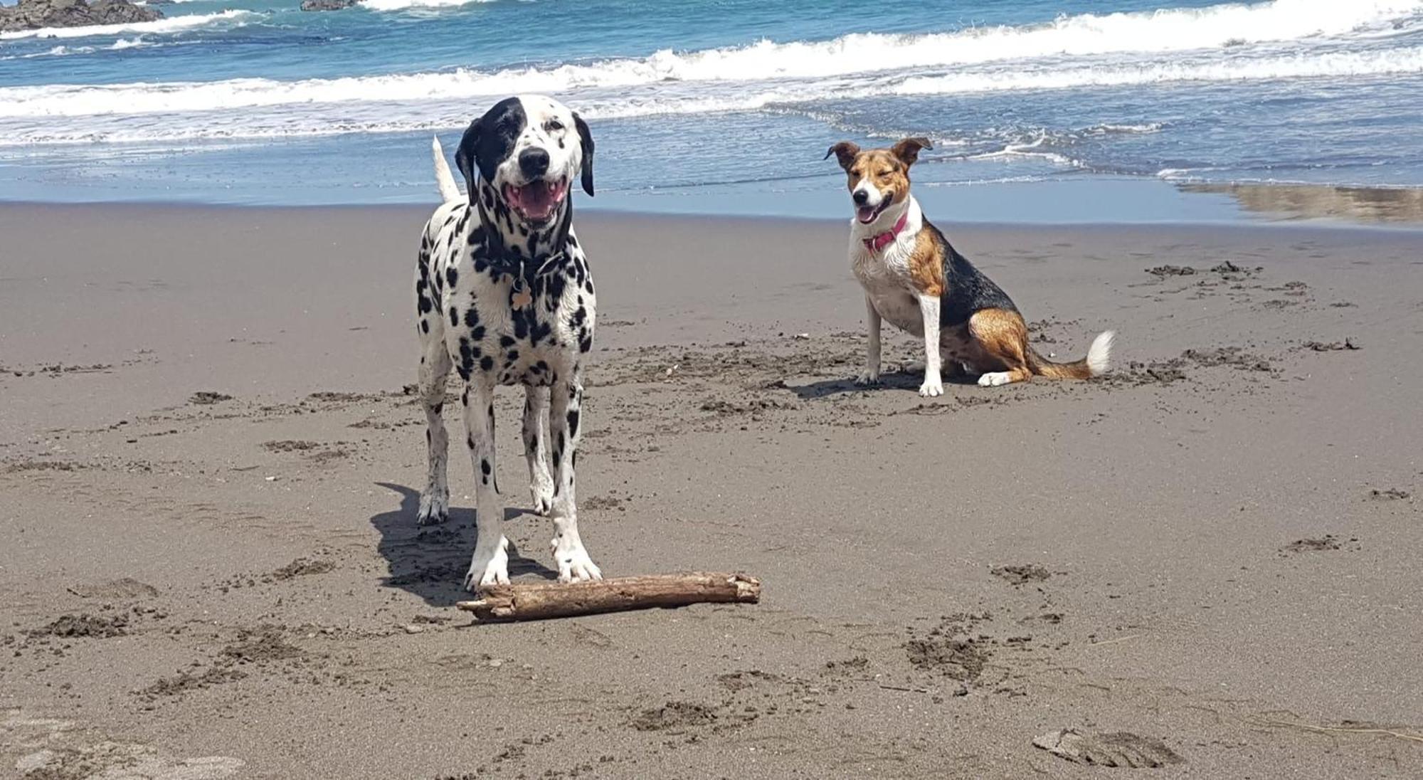 Port Waikato Holiday Park Екстер'єр фото