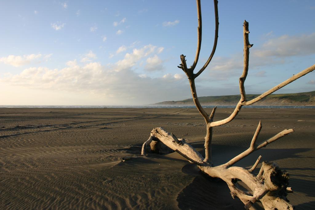 Port Waikato Holiday Park Екстер'єр фото